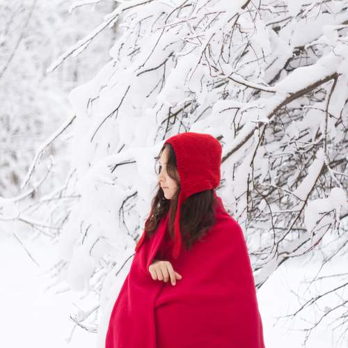 Photo #12053527