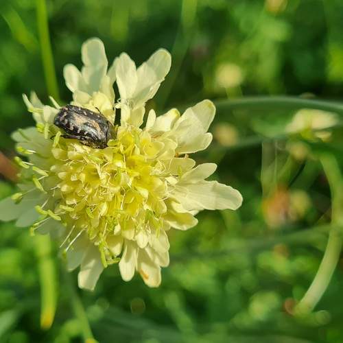 Photo #12053644