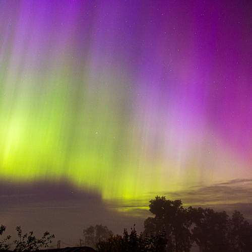 Photo #12054307