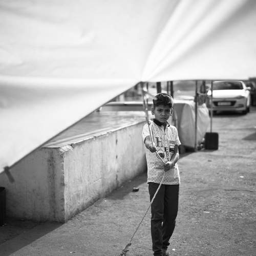 Photo #12054343