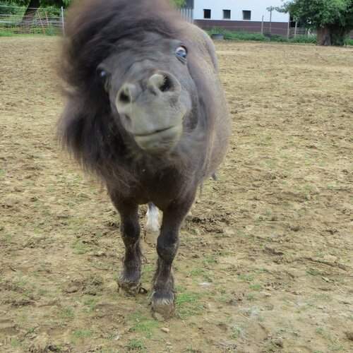 Photo #12054695
