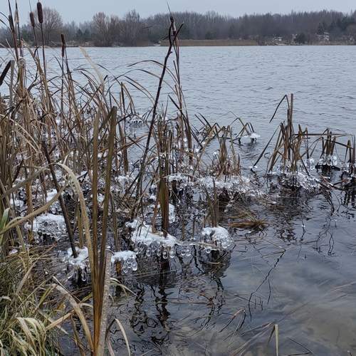 Photo #12054725