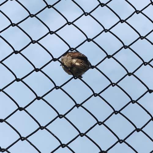 Photo #12054805