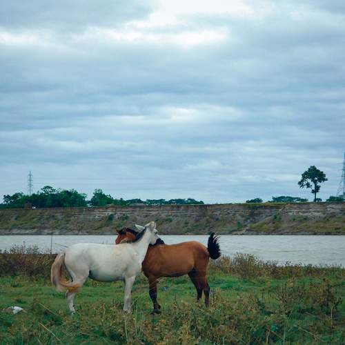 Photo #12054869