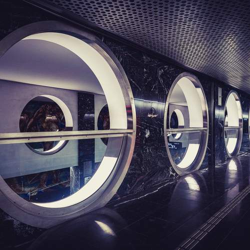 Фотография #12055223