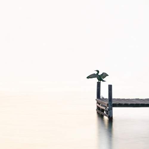 Photo #12055452