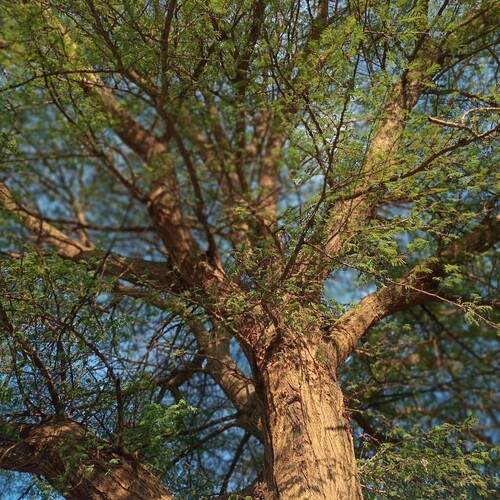 Photo #12055483