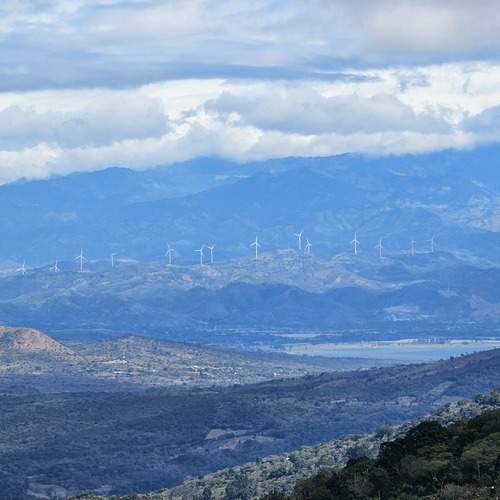 Photo #12055492