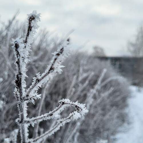 Photo #12055625