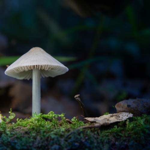 Photo #12055645