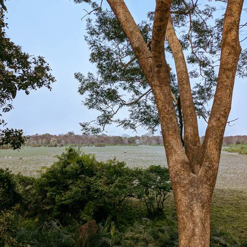 Photo #12055651