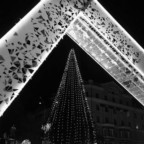 Photo #12055891