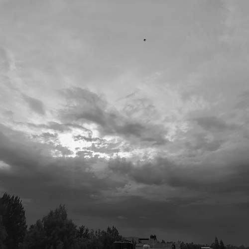 Photo #12055956