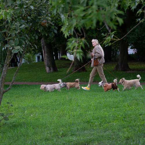 Photo #12055968