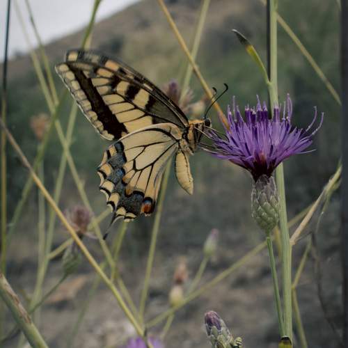 Photo #12056113