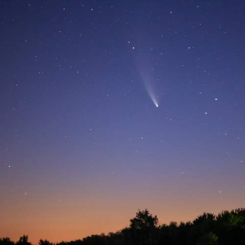 Photo #12056125
