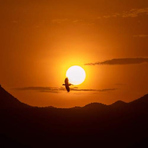 Photo #12056334