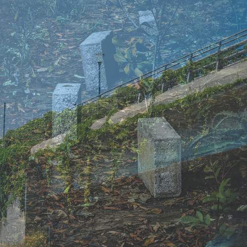 Photo #12056556