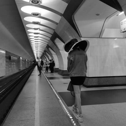 Photo #12056641