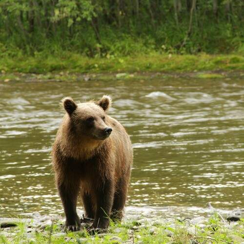 Photo #12056772