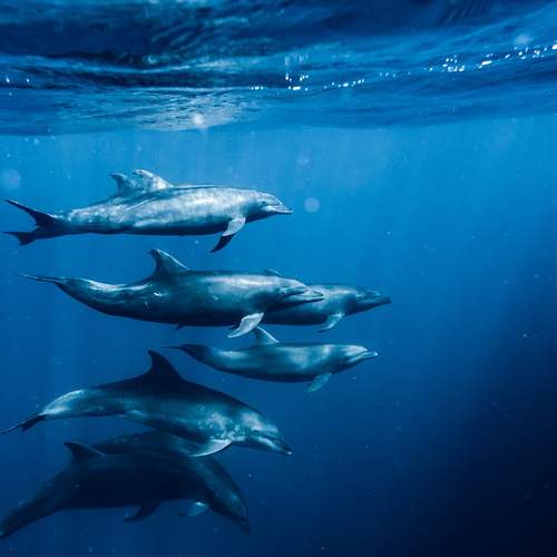 Фотография #12056799