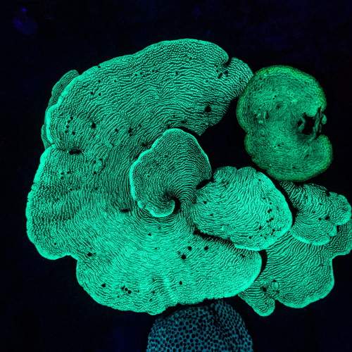 Фотография #12056800