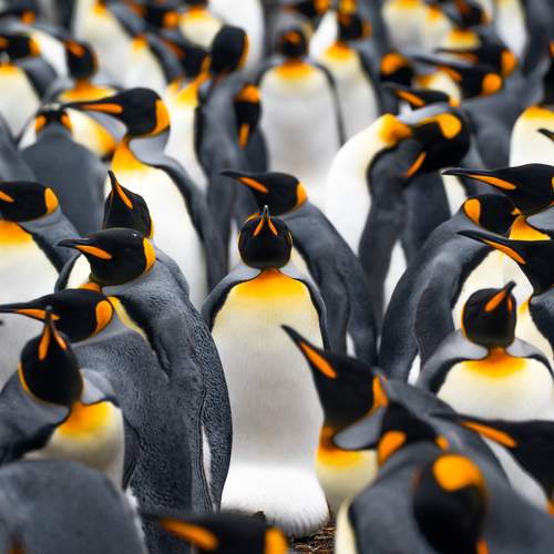 Фотография #12056801