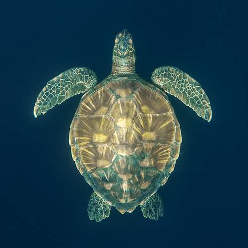 Фотография #12056808