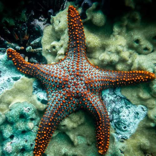 Фотография #12056814