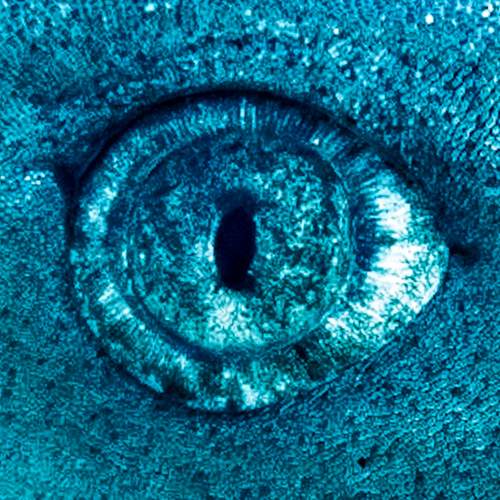 Фотография #12056815