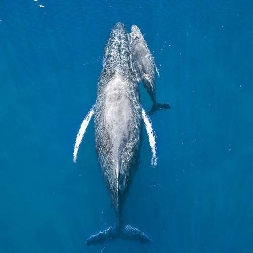 Фотография #12056816