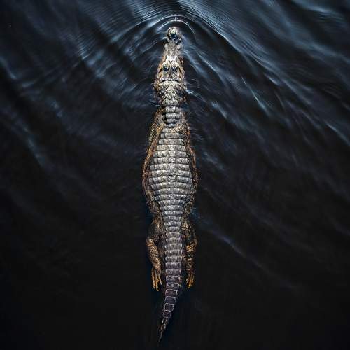 Фотография #12056818