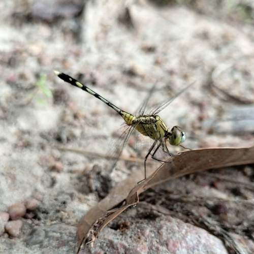 Photo #12056841
