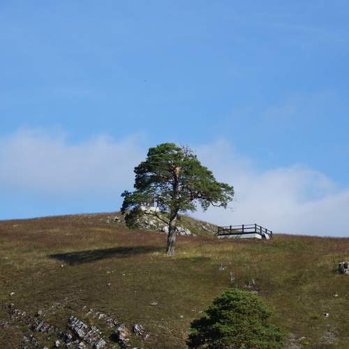 Photo #12056898