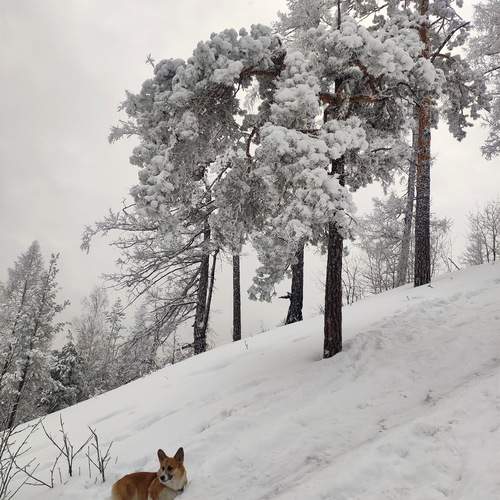 Photo #12056990