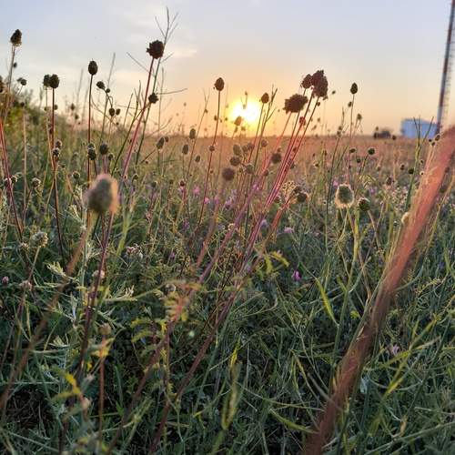 Photo #12057028