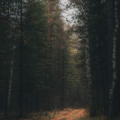 Photo #12057041