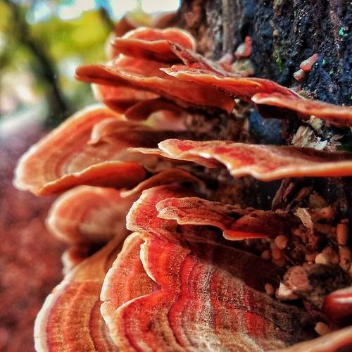 Photo #12057116