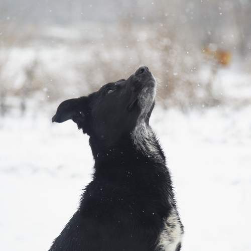 Photo #12057192