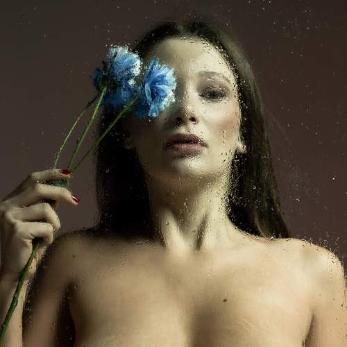 Photo #12057301