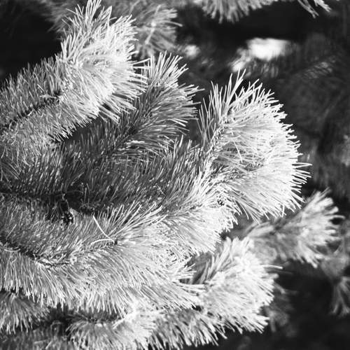Photo #12057314