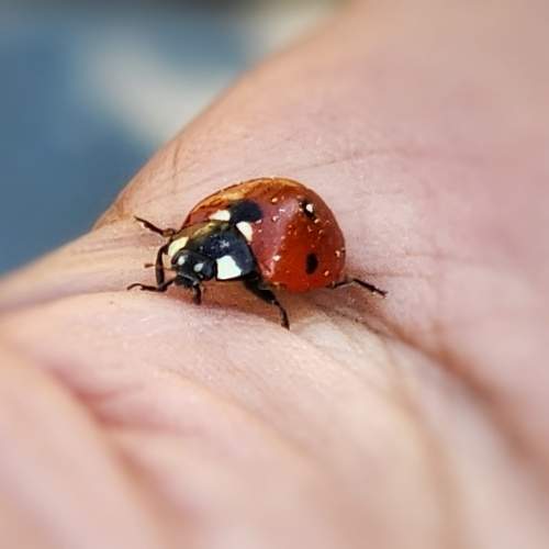 Photo #12057626