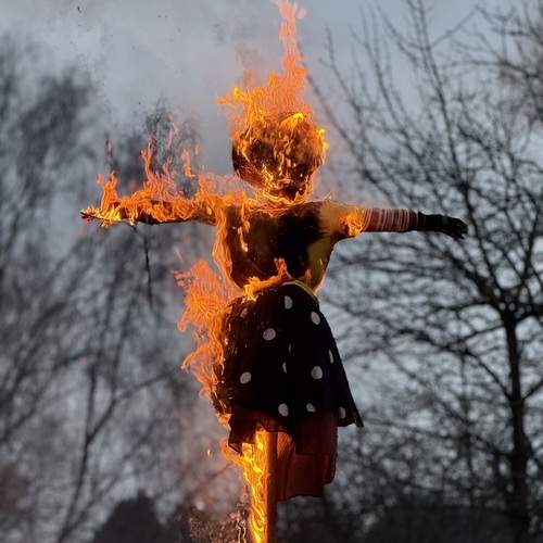 Photo #12058232
