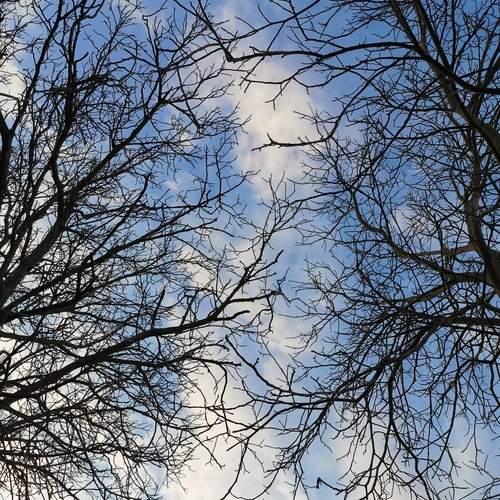 Photo #12058305