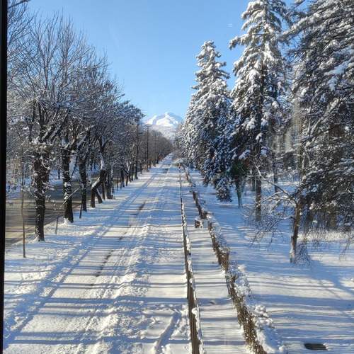 Photo #12058532