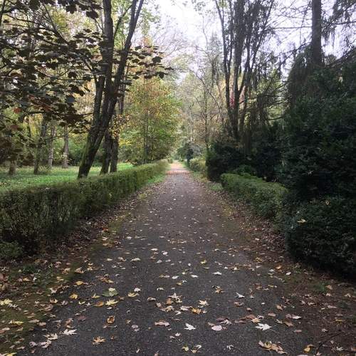 Photo #12058533