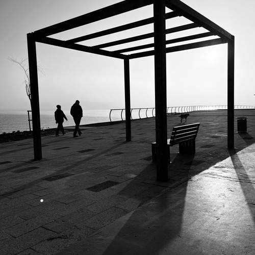 Photo #12058688