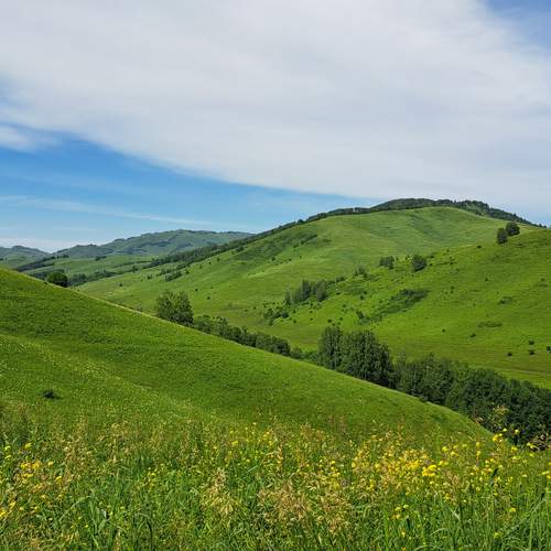 Photo #12058813