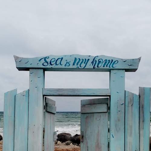 Photo #12058829