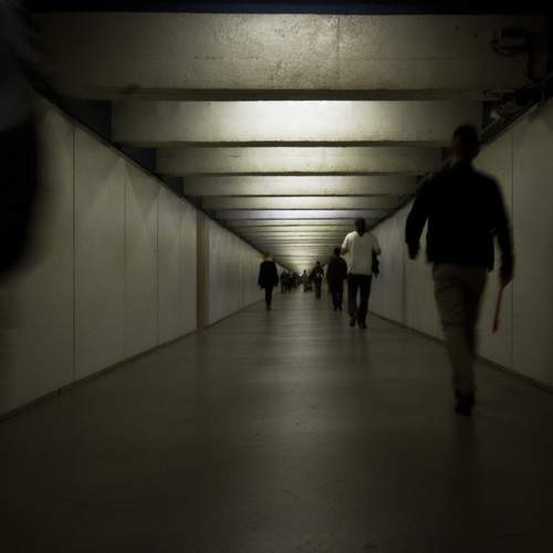 Photo #12058872